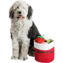 Midlee Christmas Santa Rope Basket