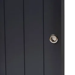 2 Door Leone Finished Wood Entryway Shoe Storage Cabinet Black - Baxton Studio