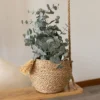 Brown Basket Woven Seagrass & Corn Husk By Foreside Home & Garden